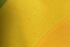 IMG_9276-2